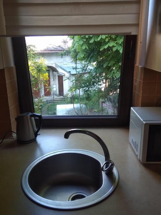 Mangal And Terrace In Center Apartment Leopoli Esterno foto